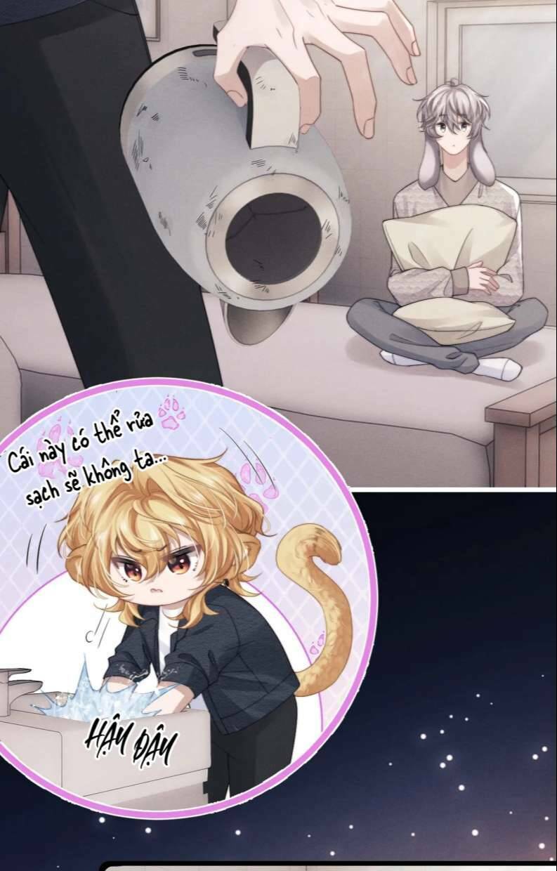 Chấp Sự Thỏ Cụp Tai Chapter 23 - Trang 2