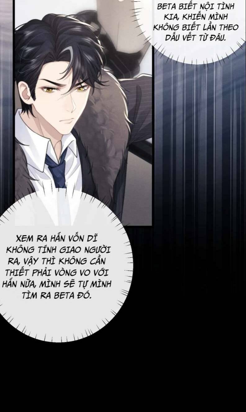 Chấp Sự Thỏ Cụp Tai Chapter 25 - Trang 2