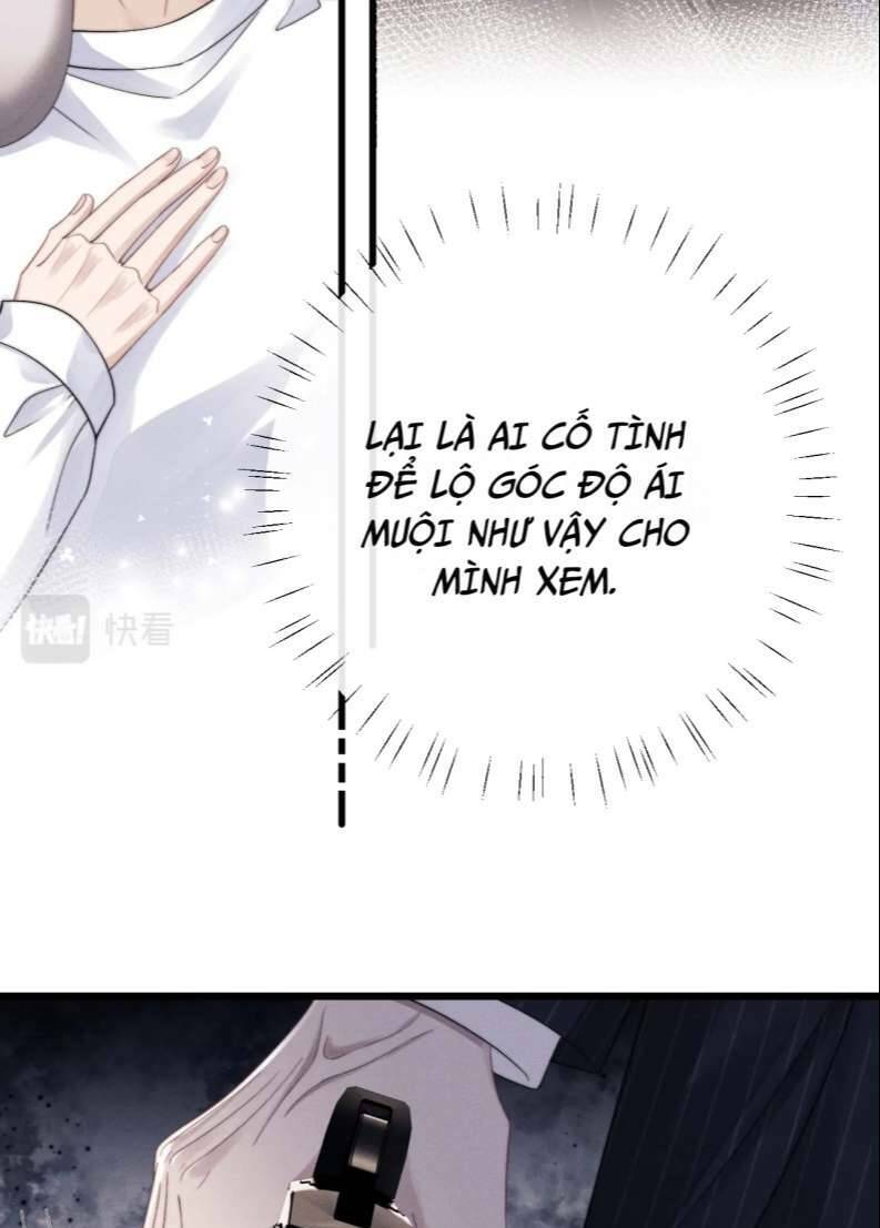 Chấp Sự Thỏ Cụp Tai Chapter 25 - Trang 2