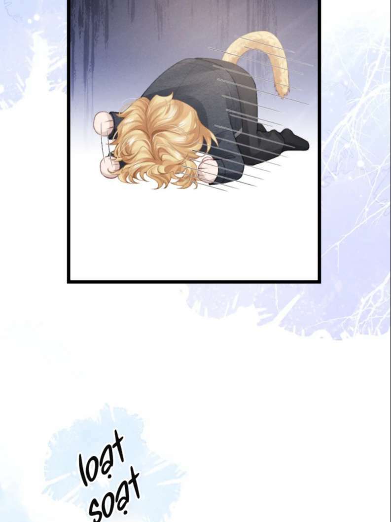 Chấp Sự Thỏ Cụp Tai Chapter 28 - Trang 2