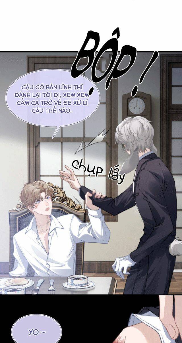 Chấp Sự Thỏ Cụp Tai Chapter 3 - Trang 2