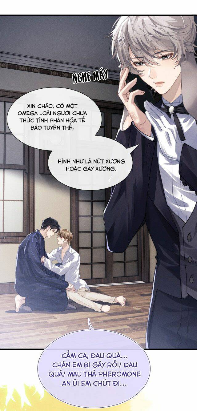 Chấp Sự Thỏ Cụp Tai Chapter 3 - Trang 2