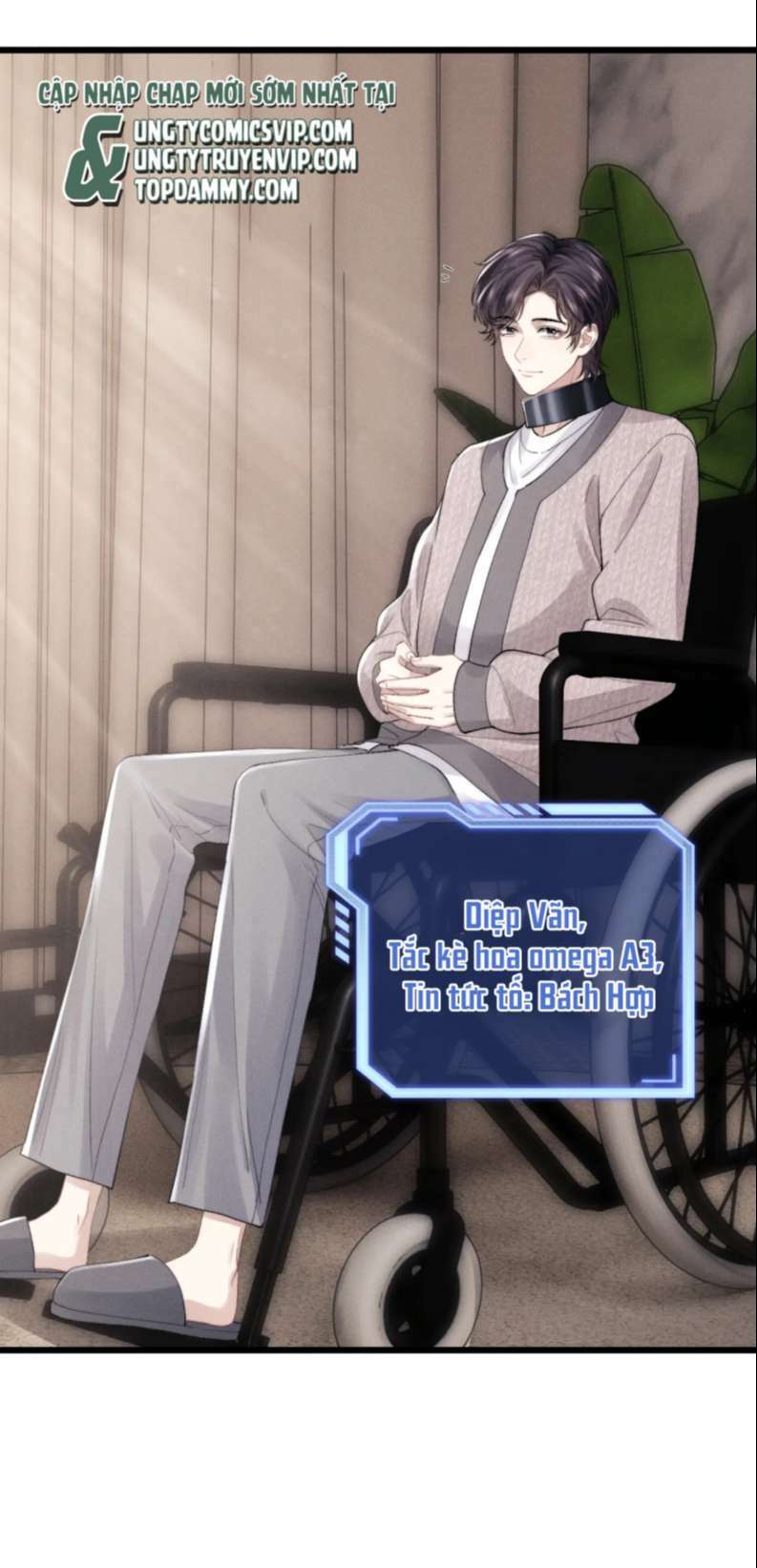 Chấp Sự Thỏ Cụp Tai Chapter 30 - Trang 2