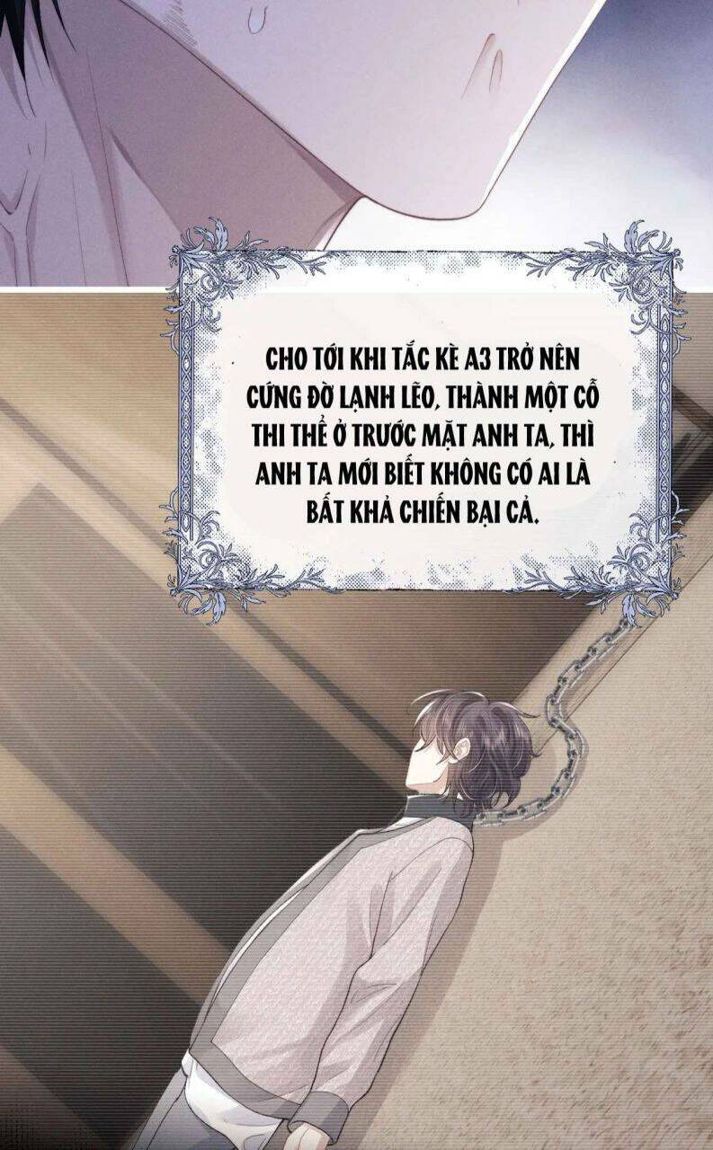 Chấp Sự Thỏ Cụp Tai Chapter 33 - Trang 2