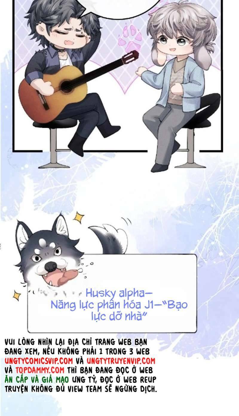 Chấp Sự Thỏ Cụp Tai Chapter 35 - Trang 2