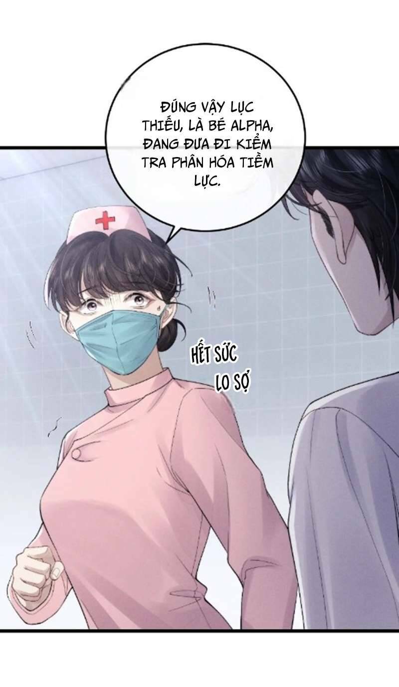 Chấp Sự Thỏ Cụp Tai Chapter 35 - Trang 2