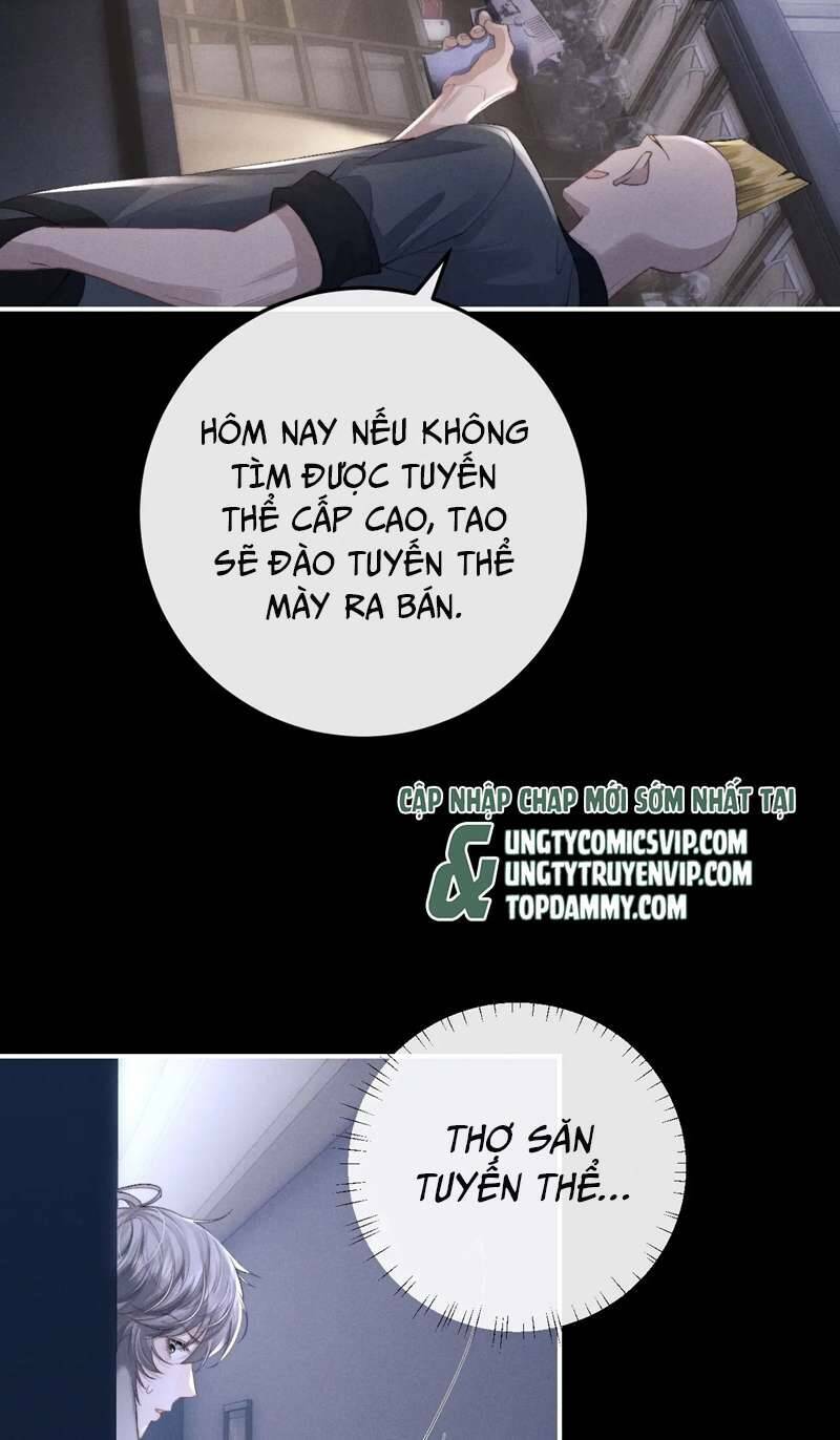 Chấp Sự Thỏ Cụp Tai Chapter 37 - Trang 2