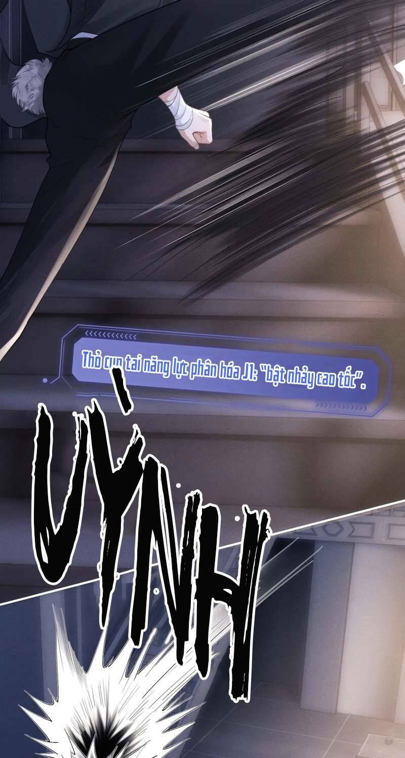 Chấp Sự Thỏ Cụp Tai Chapter 37 - Trang 2