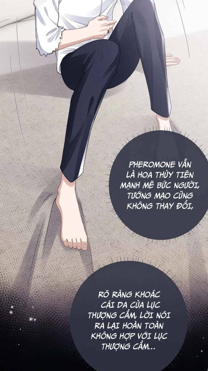 Chấp Sự Thỏ Cụp Tai Chapter 39 - Trang 2