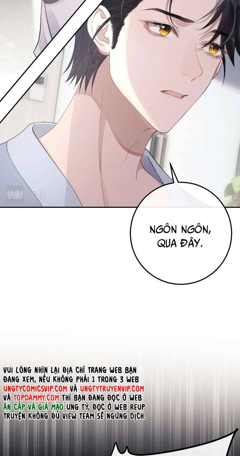 Chấp Sự Thỏ Cụp Tai Chapter 39 - Trang 2