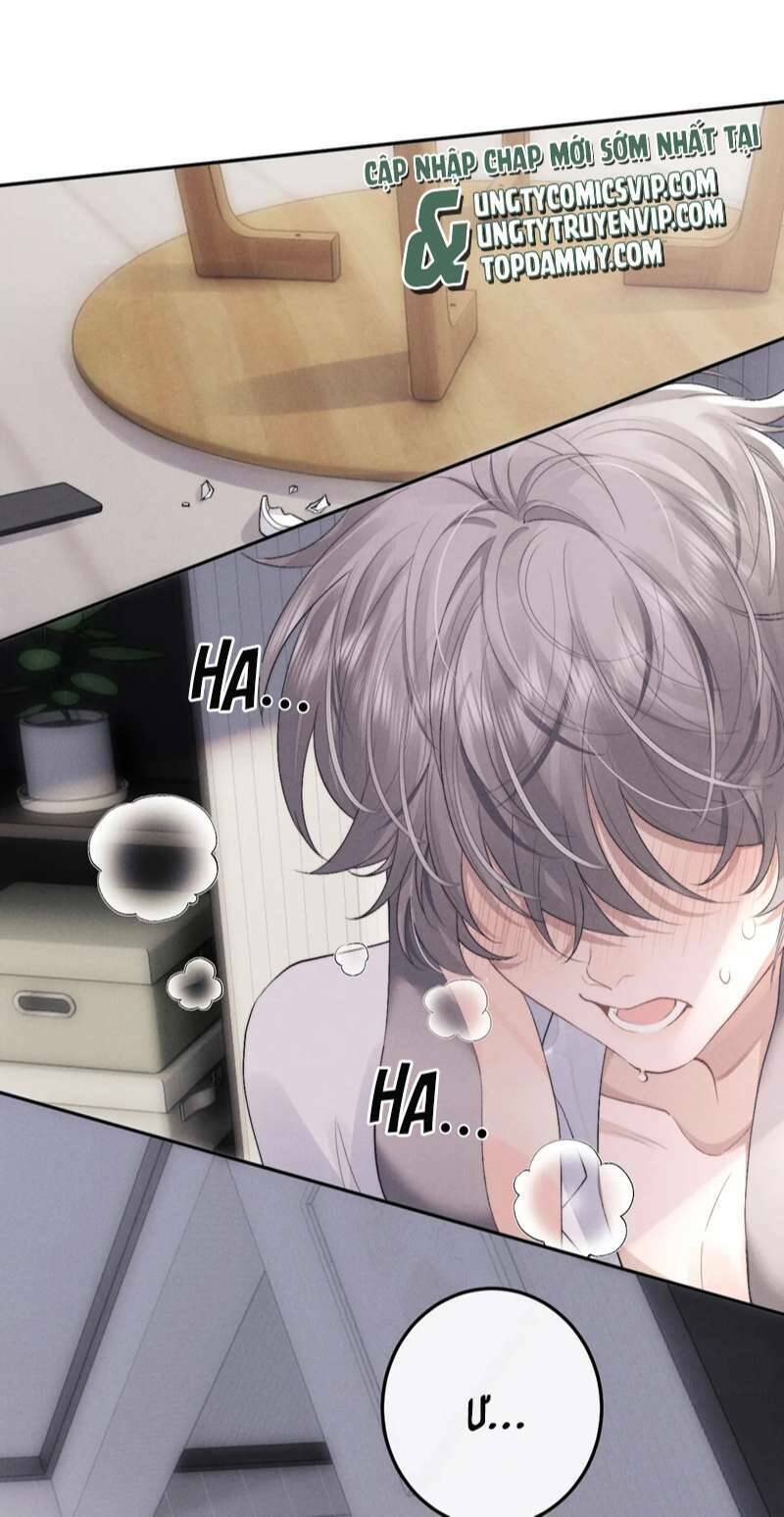 Chấp Sự Thỏ Cụp Tai Chapter 39 - Trang 2