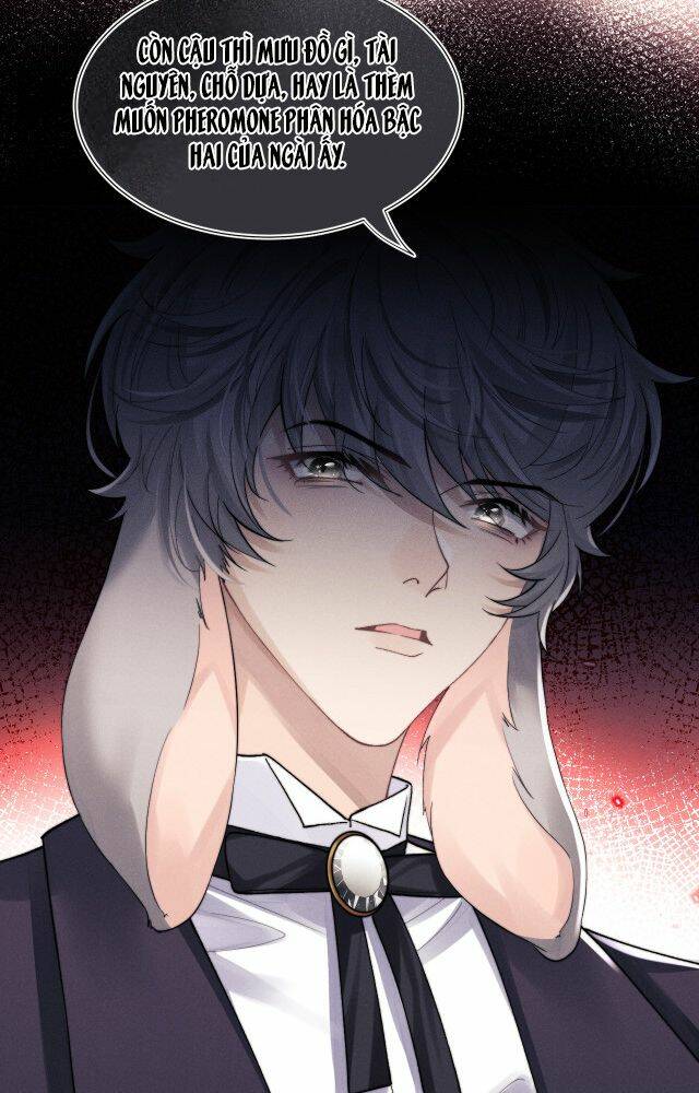 Chấp Sự Thỏ Cụp Tai Chapter 4 - Trang 2