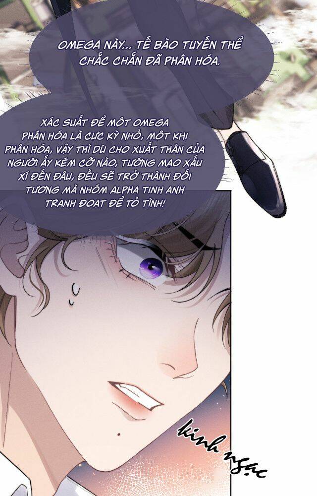 Chấp Sự Thỏ Cụp Tai Chapter 4 - Trang 2