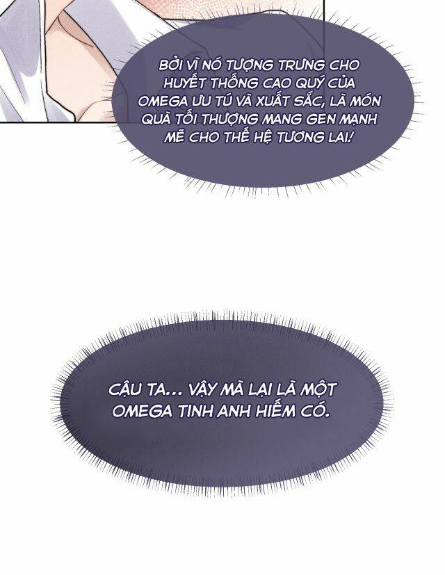 Chấp Sự Thỏ Cụp Tai Chapter 4 - Trang 2