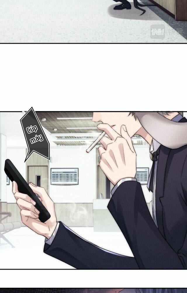 Chấp Sự Thỏ Cụp Tai Chapter 4 - Trang 2