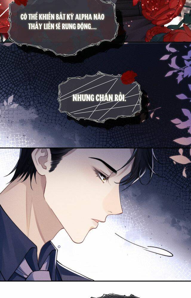 Chấp Sự Thỏ Cụp Tai Chapter 4 - Trang 2