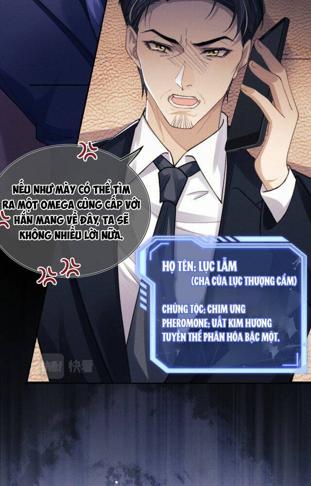 Chấp Sự Thỏ Cụp Tai Chapter 4 - Trang 2