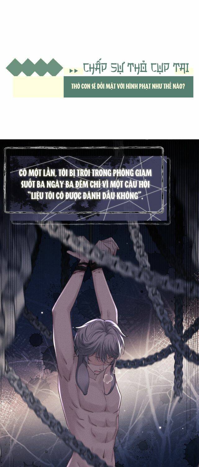 Chấp Sự Thỏ Cụp Tai Chapter 4 - Trang 2