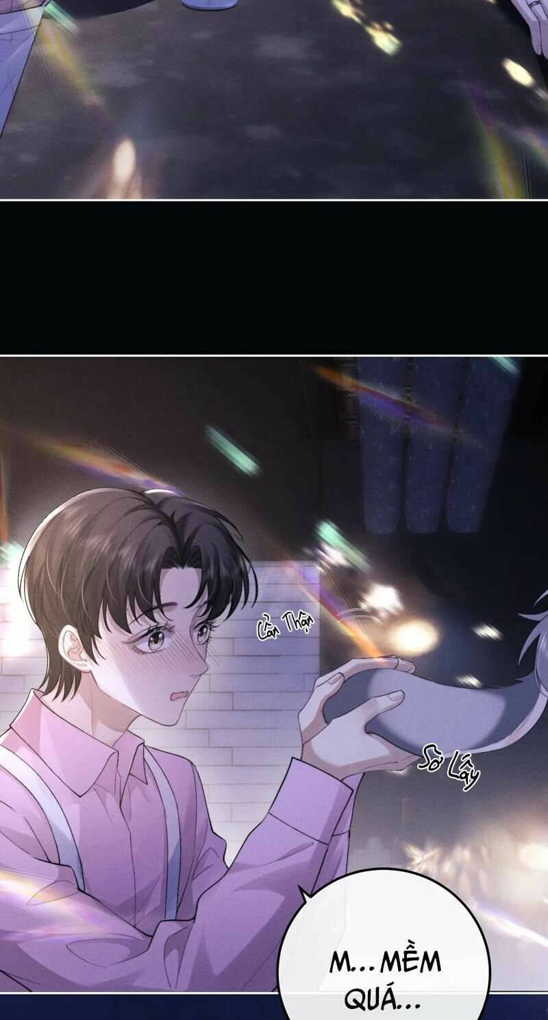 Chấp Sự Thỏ Cụp Tai Chapter 44 - Trang 2