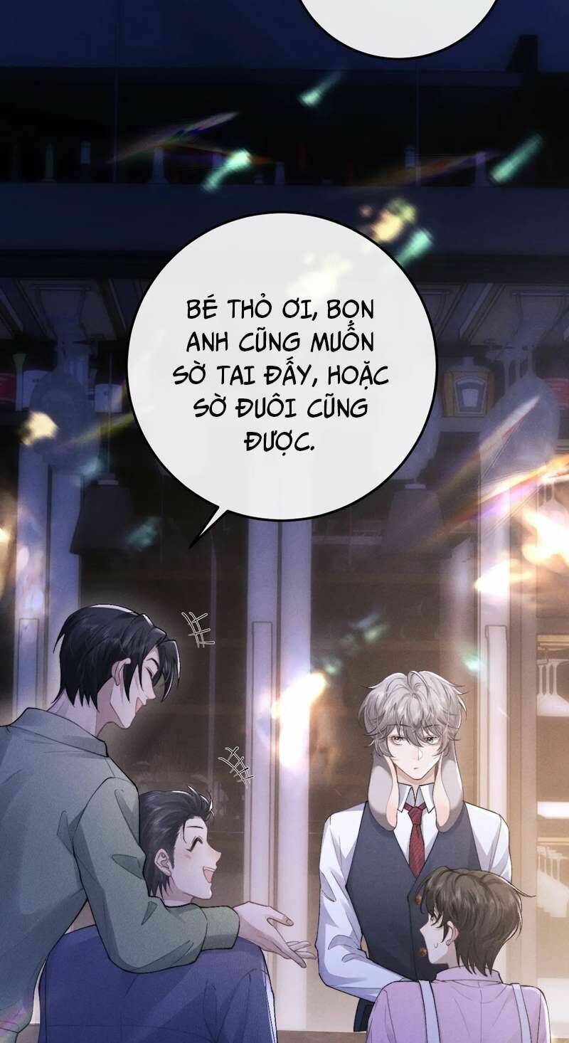 Chấp Sự Thỏ Cụp Tai Chapter 44 - Trang 2