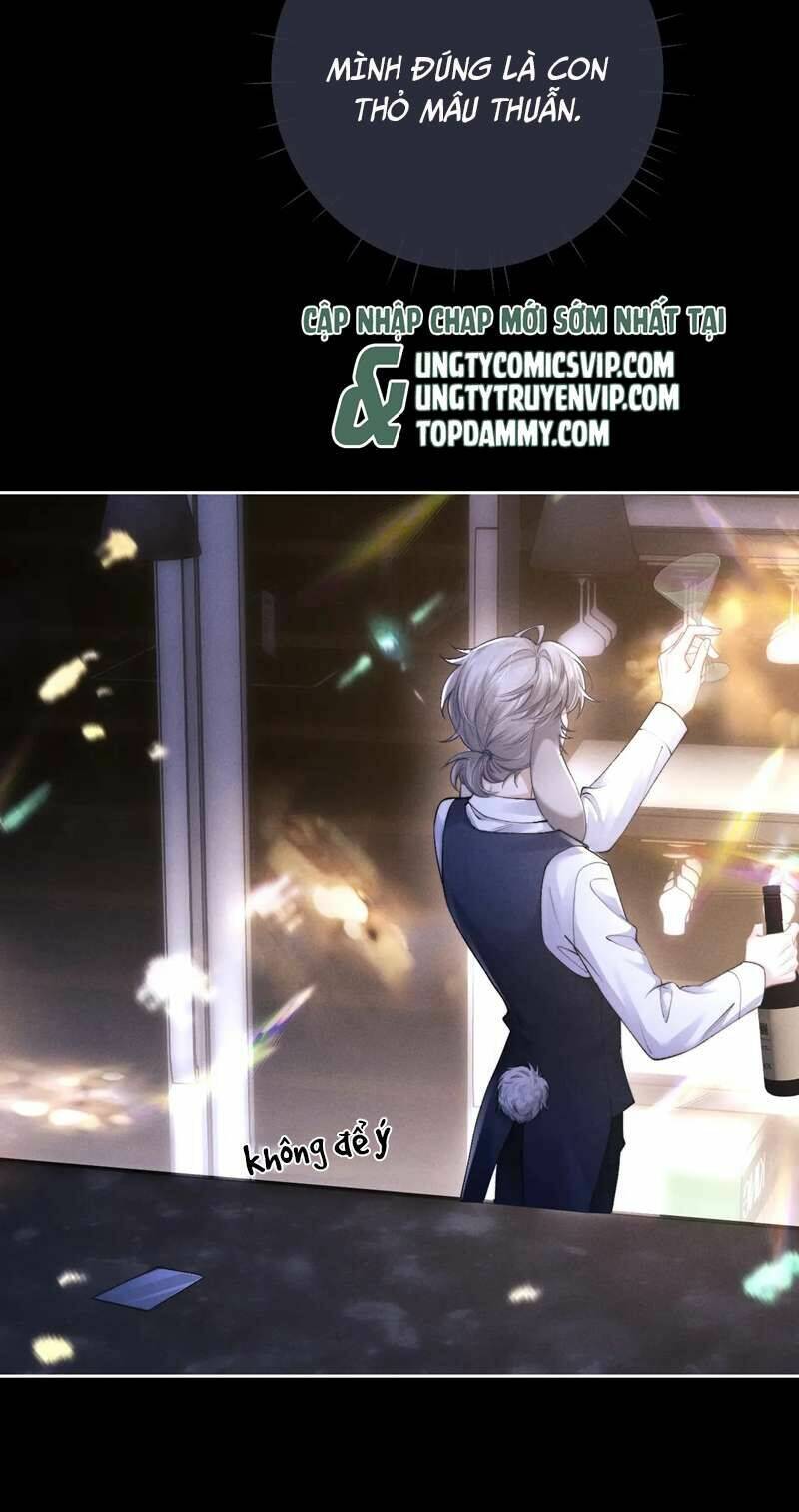 Chấp Sự Thỏ Cụp Tai Chapter 45 - Trang 2