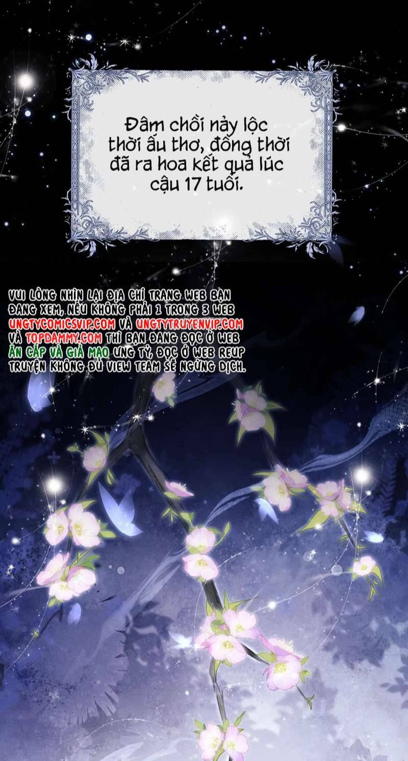 Chấp Sự Thỏ Cụp Tai Chapter 47 - Trang 2