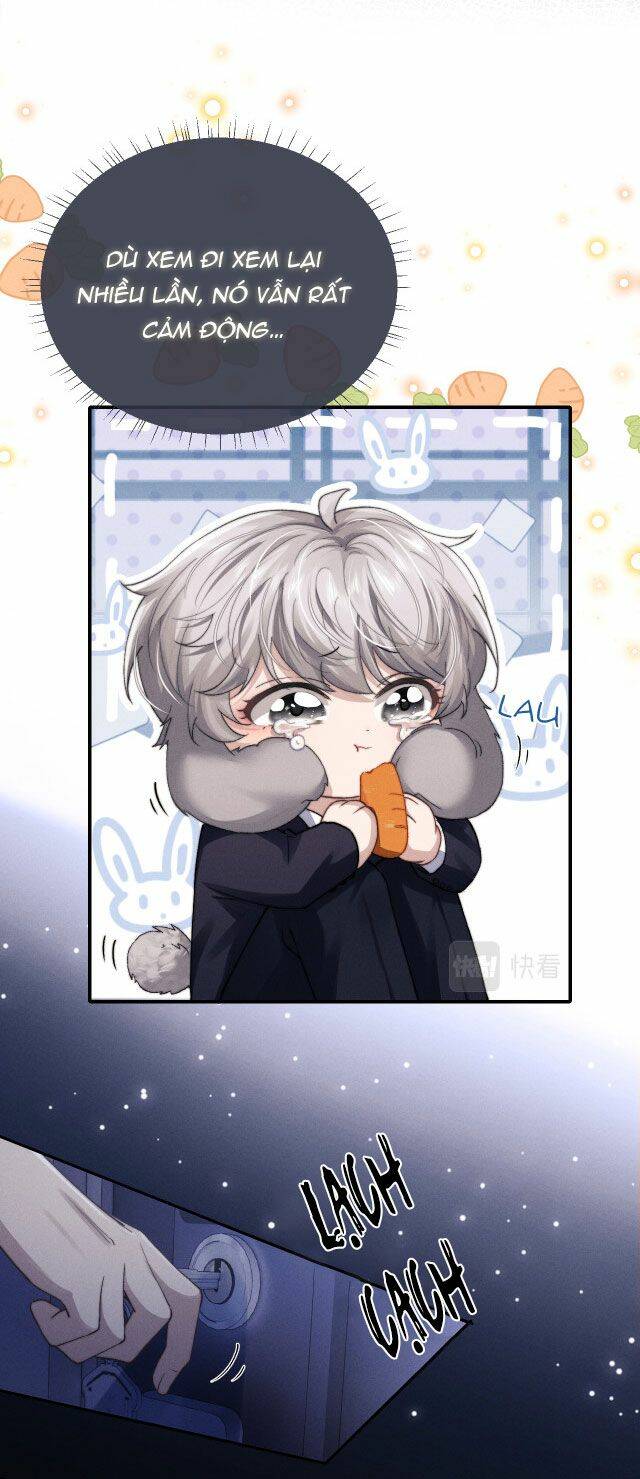 Chấp Sự Thỏ Cụp Tai Chapter 5 - Trang 2