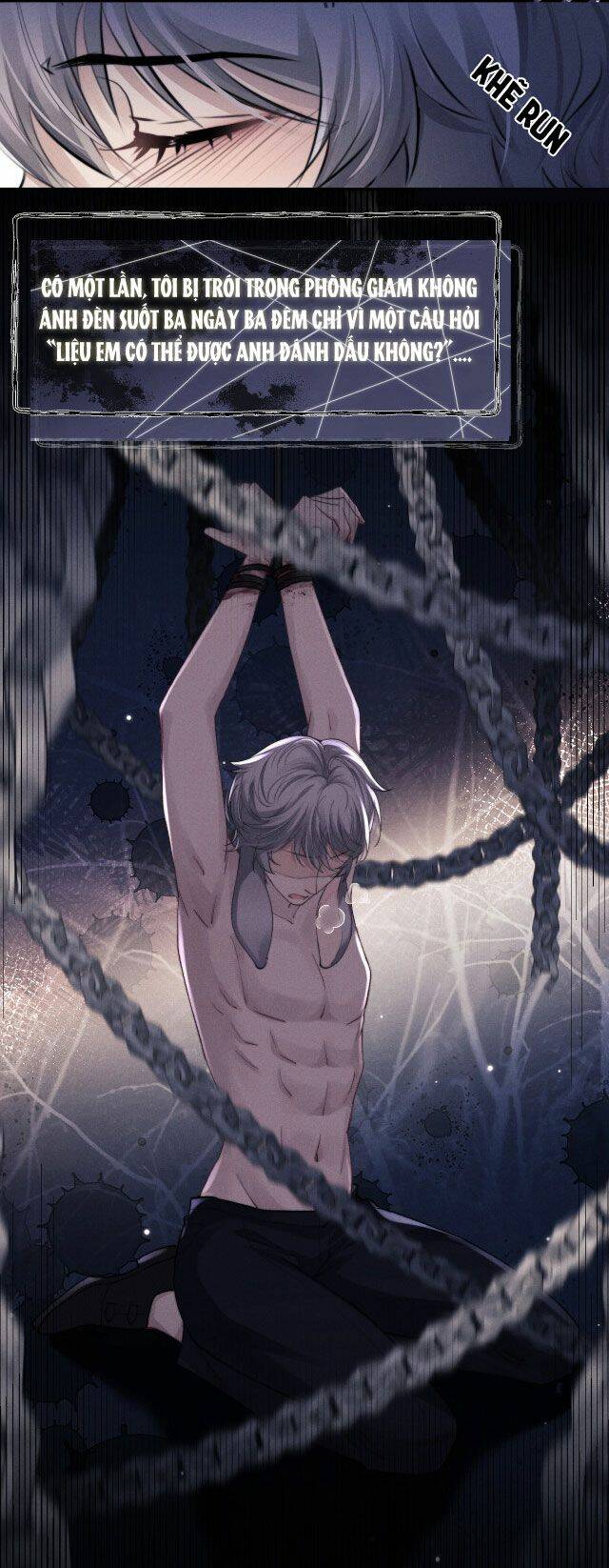 Chấp Sự Thỏ Cụp Tai Chapter 5 - Trang 2