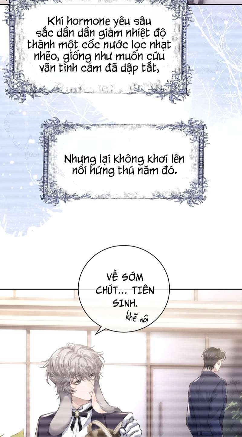 Chấp Sự Thỏ Cụp Tai Chapter 52 - Trang 2