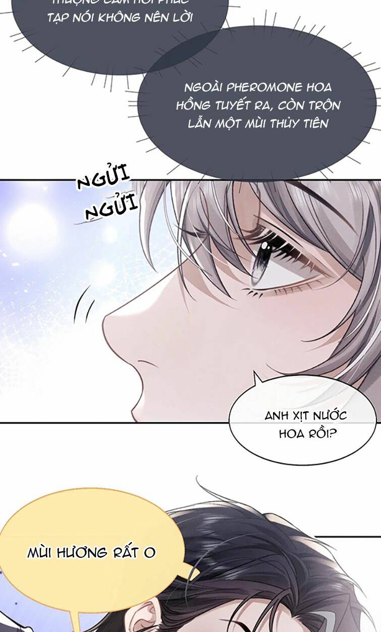 Chấp Sự Thỏ Cụp Tai Chapter 54 - Trang 2