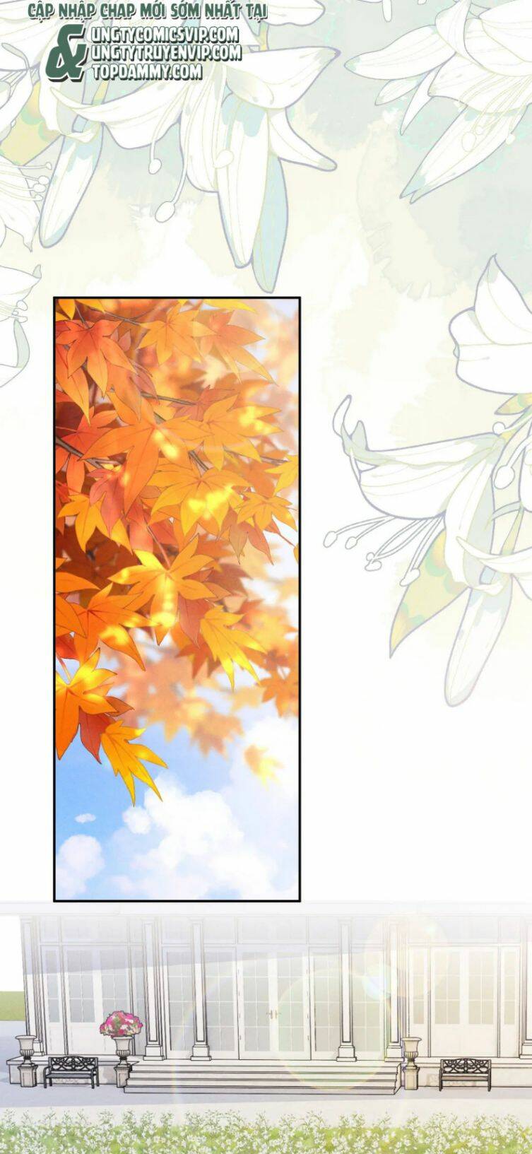 Chấp Sự Thỏ Cụp Tai Chapter 55 - Trang 2