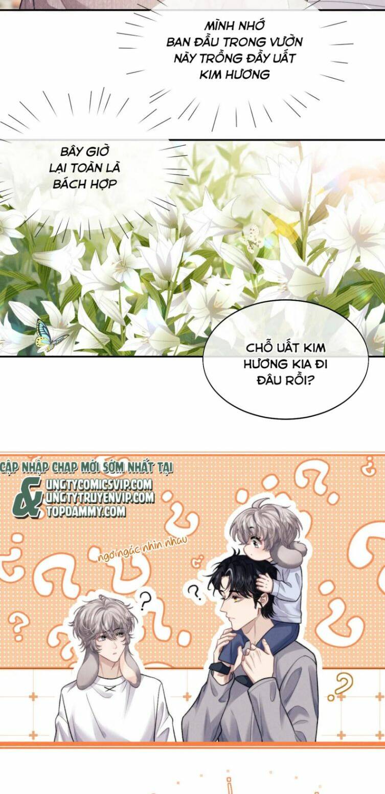 Chấp Sự Thỏ Cụp Tai Chapter 55 - Trang 2