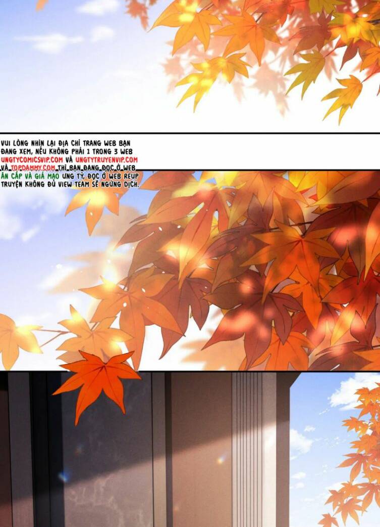 Chấp Sự Thỏ Cụp Tai Chapter 55 - Trang 2