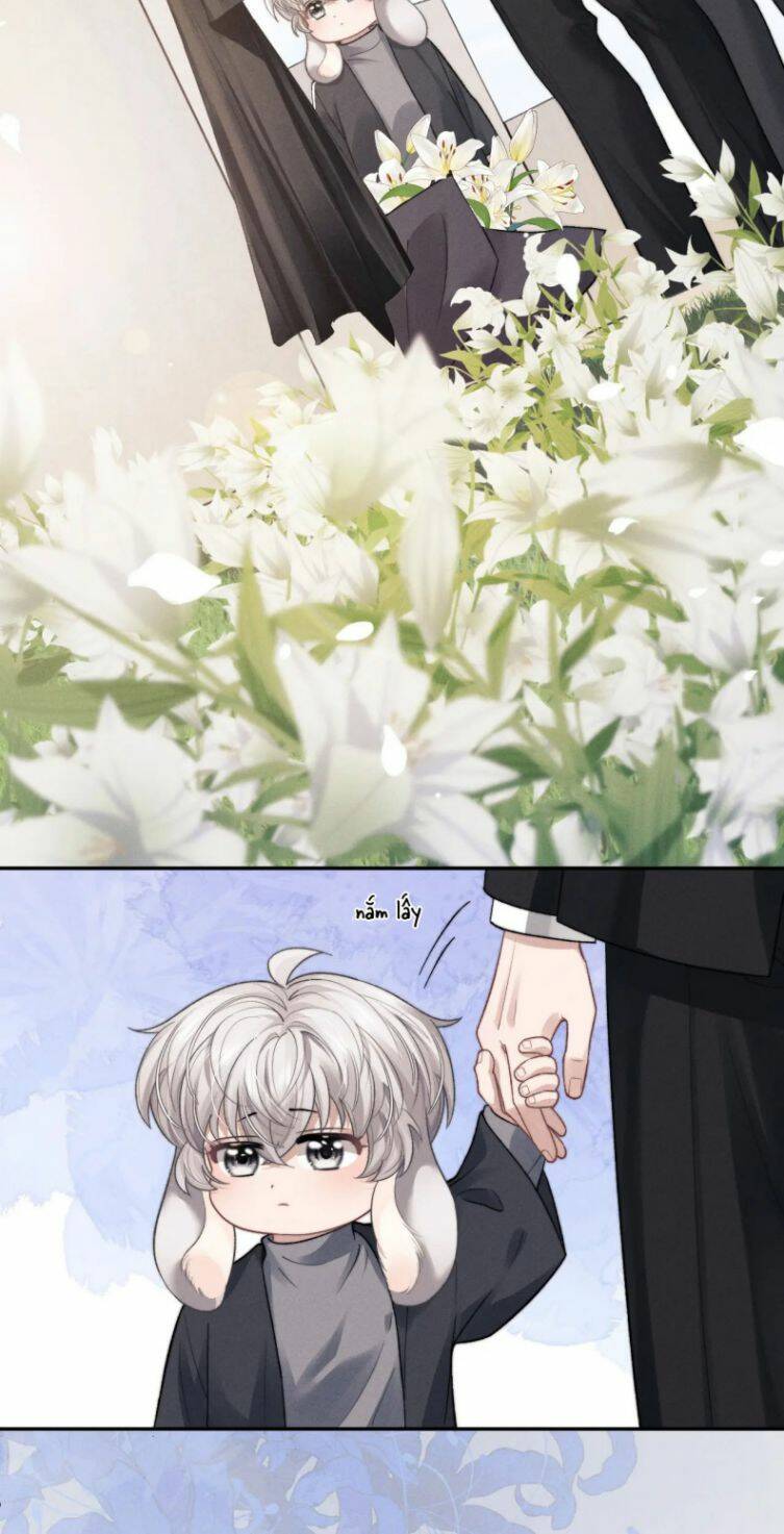 Chấp Sự Thỏ Cụp Tai Chapter 55 - Trang 2