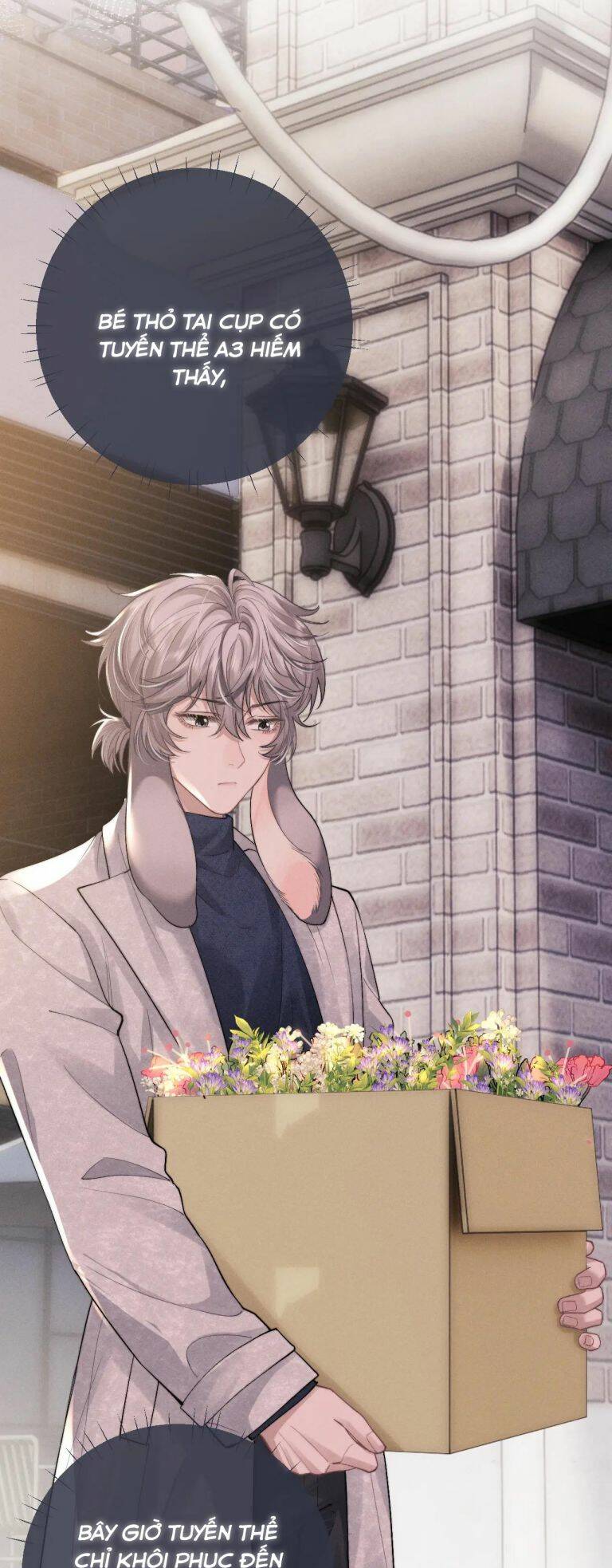 Chấp Sự Thỏ Cụp Tai Chapter 59 - Trang 2