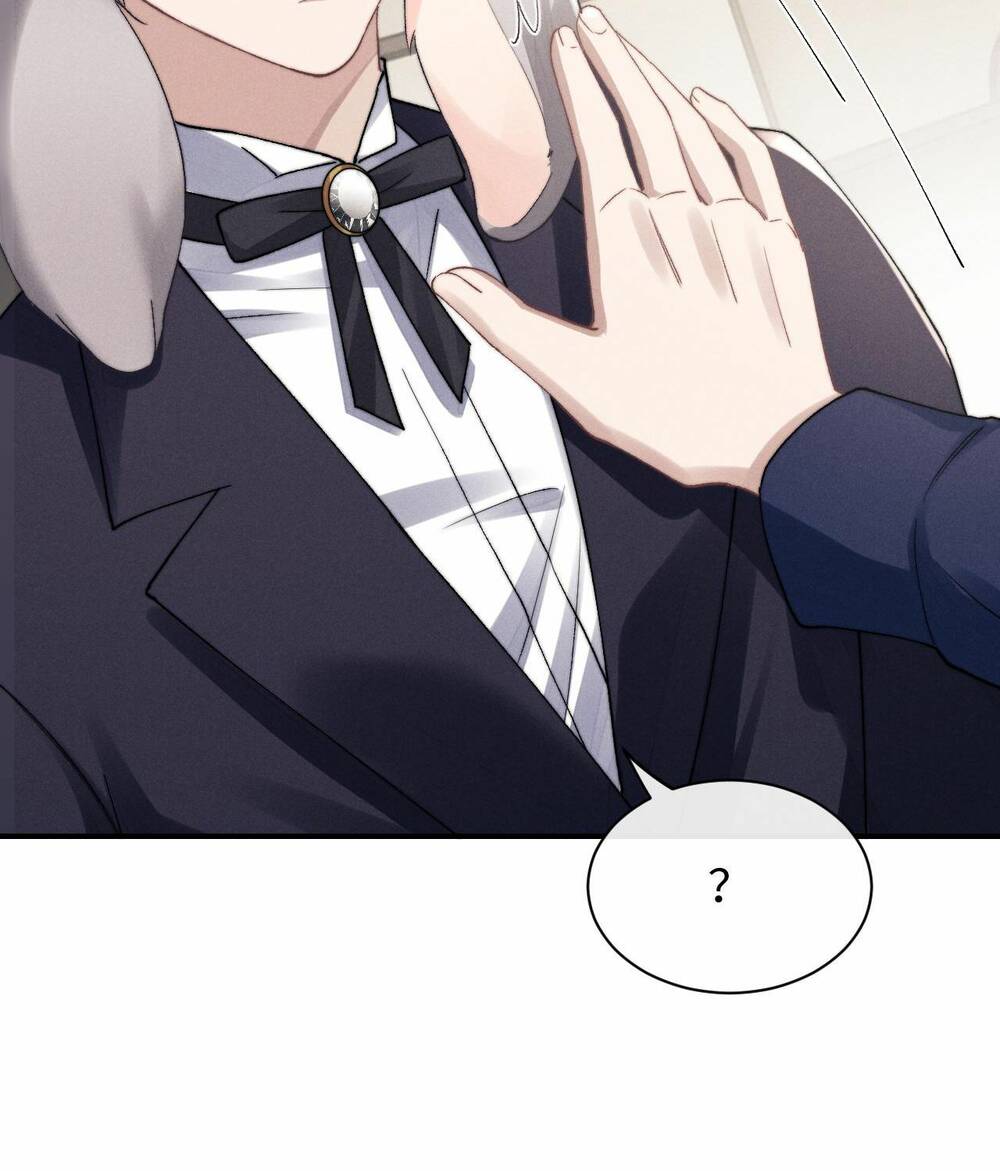 Chấp Sự Thỏ Cụp Tai Chapter 6 - Trang 2