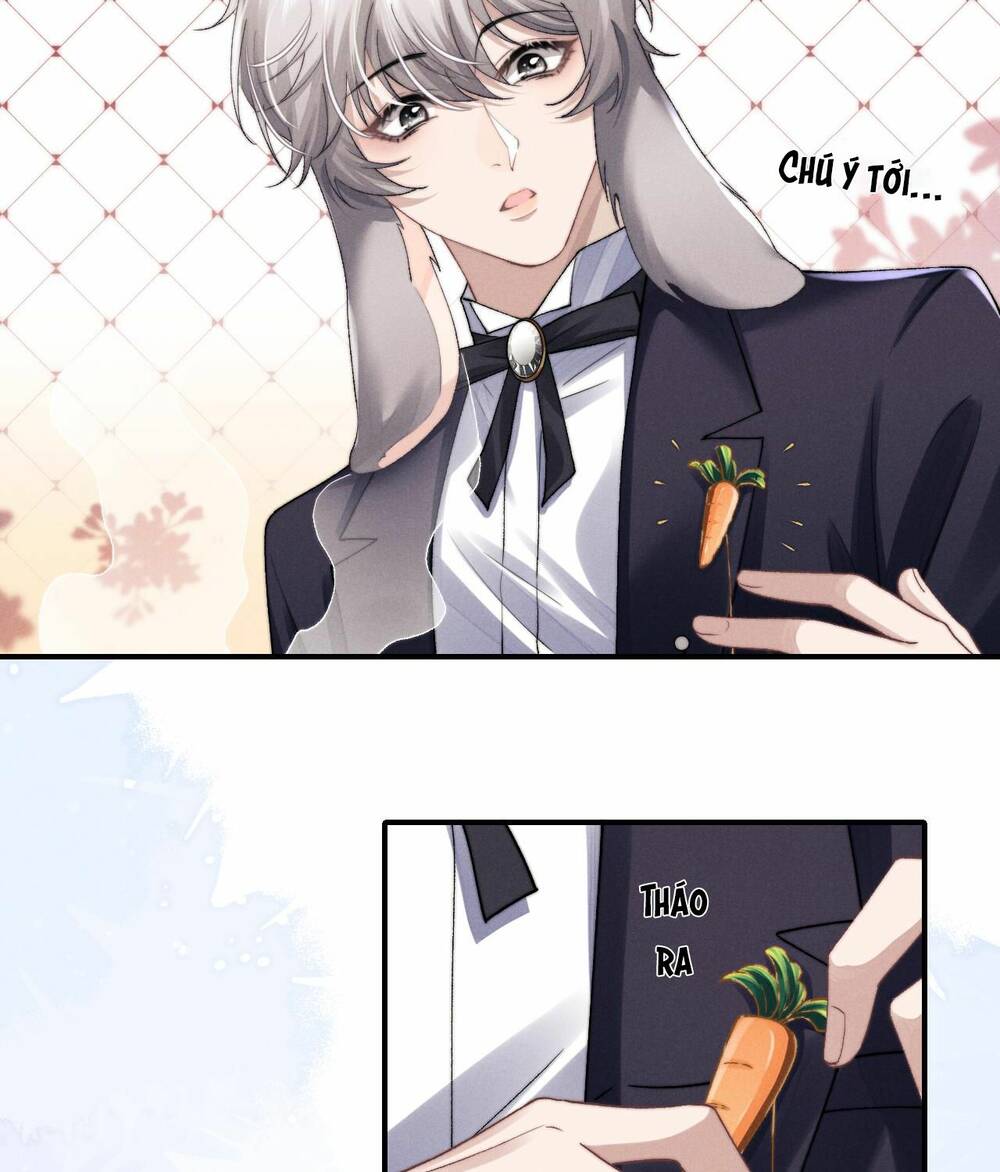 Chấp Sự Thỏ Cụp Tai Chapter 6 - Trang 2
