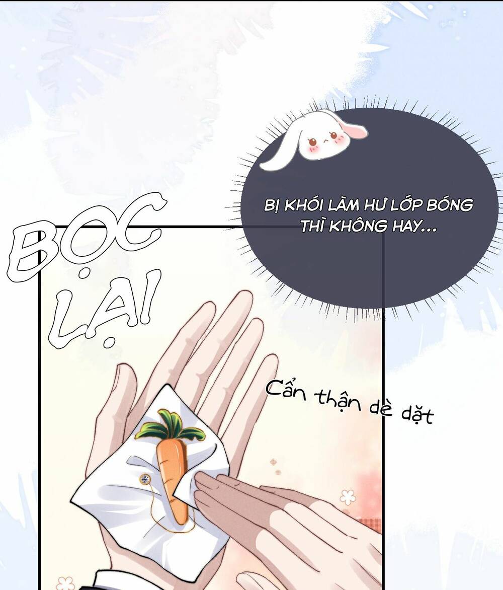 Chấp Sự Thỏ Cụp Tai Chapter 6 - Trang 2