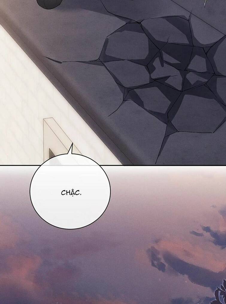 Chấp Sự Thỏ Cụp Tai Chapter 61 - Trang 2