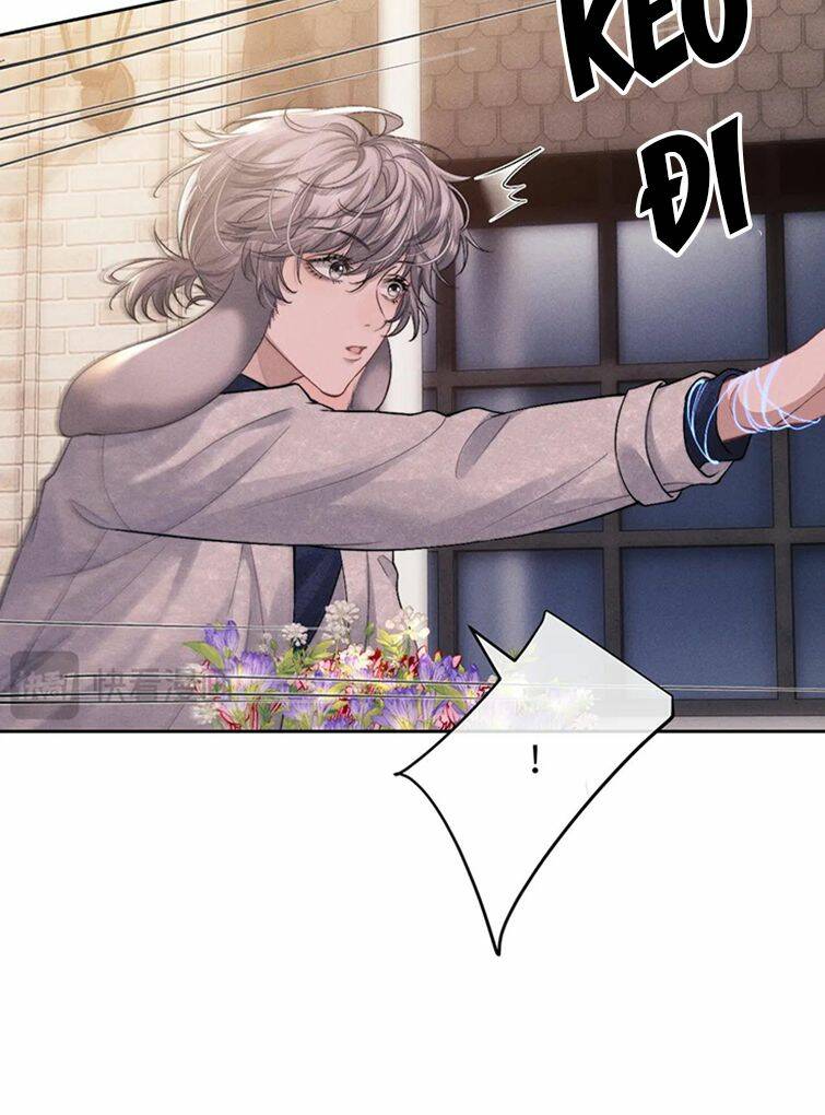 Chấp Sự Thỏ Cụp Tai Chapter 61 - Trang 2