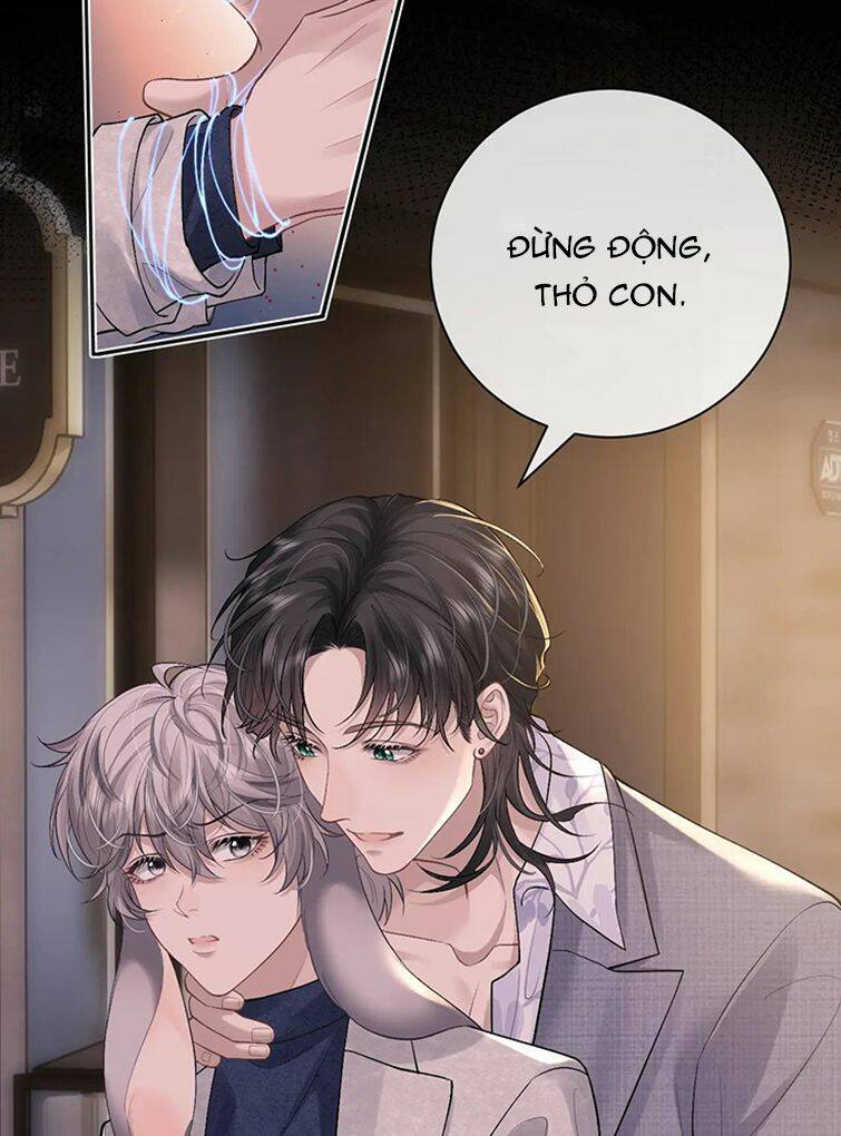 Chấp Sự Thỏ Cụp Tai Chapter 61 - Trang 2