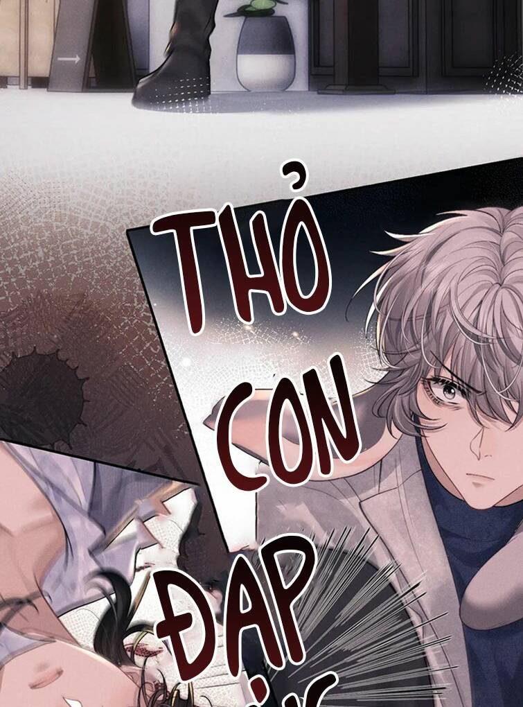 Chấp Sự Thỏ Cụp Tai Chapter 61 - Trang 2