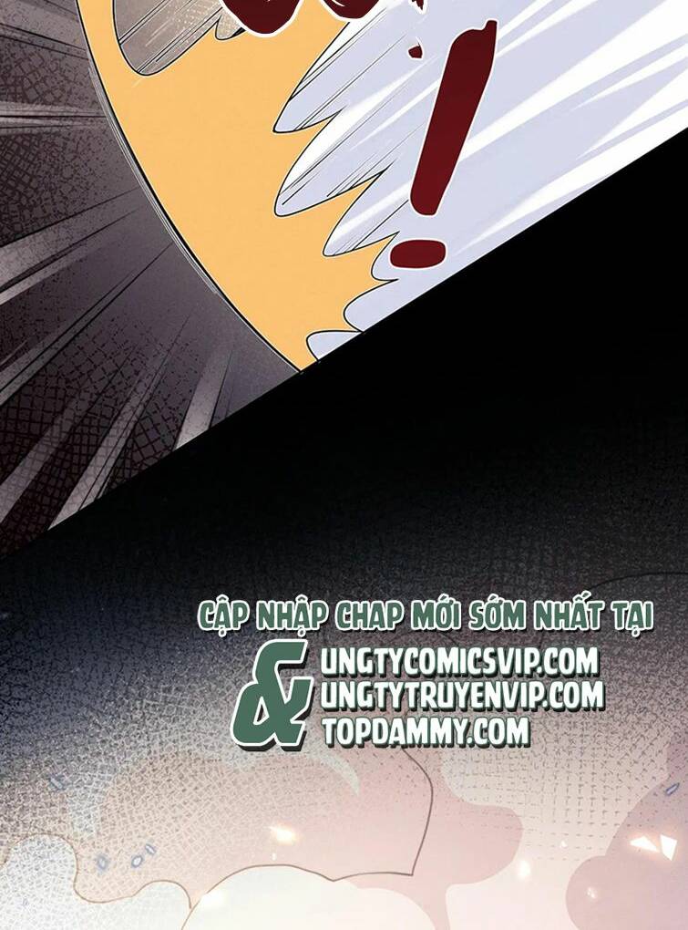 Chấp Sự Thỏ Cụp Tai Chapter 61 - Trang 2