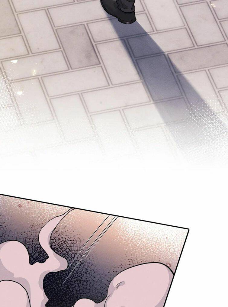 Chấp Sự Thỏ Cụp Tai Chapter 61 - Trang 2