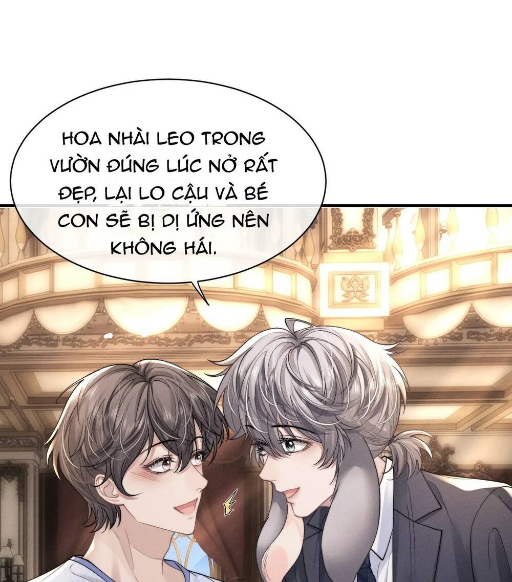 Chấp Sự Thỏ Cụp Tai Chapter 66 - Trang 2