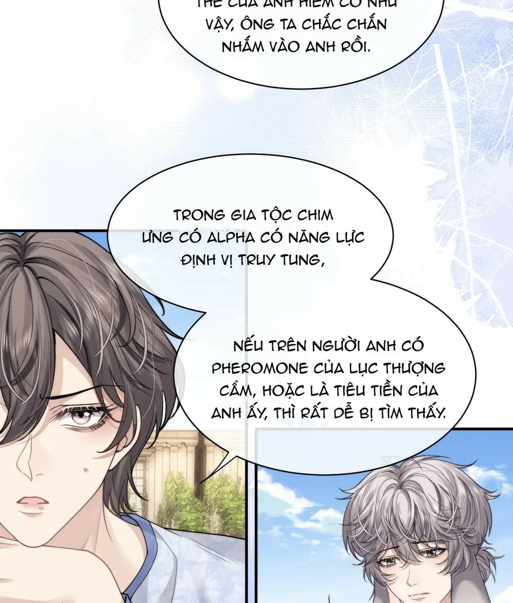 Chấp Sự Thỏ Cụp Tai Chapter 66 - Trang 2
