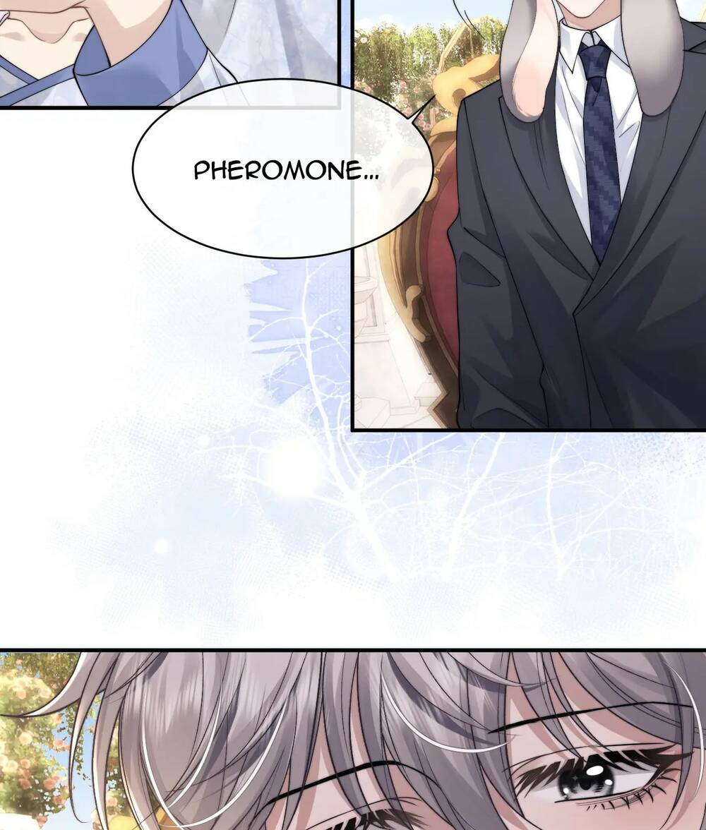 Chấp Sự Thỏ Cụp Tai Chapter 66 - Trang 2