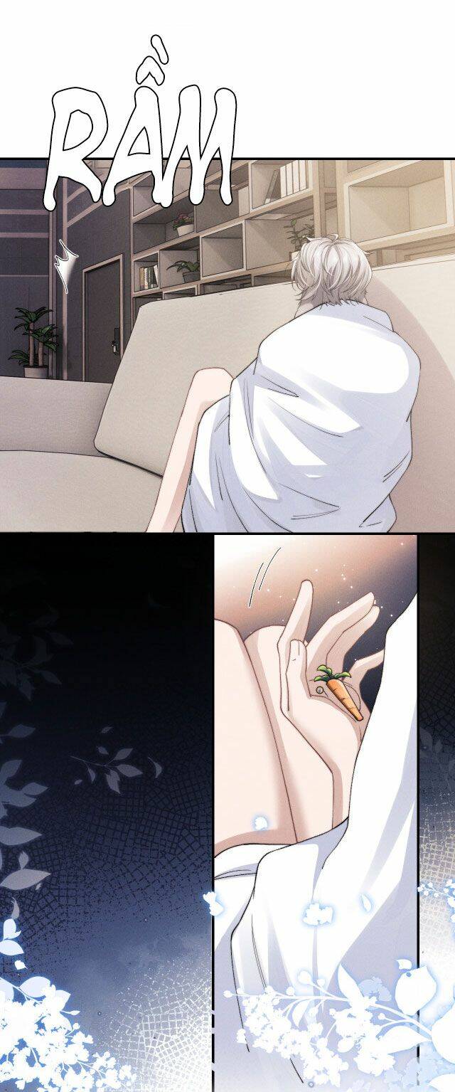 Chấp Sự Thỏ Cụp Tai Chapter 7 - Trang 2