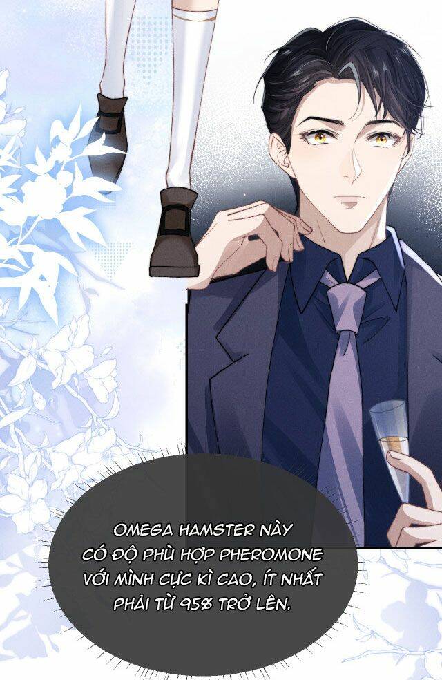 Chấp Sự Thỏ Cụp Tai Chapter 7 - Trang 2