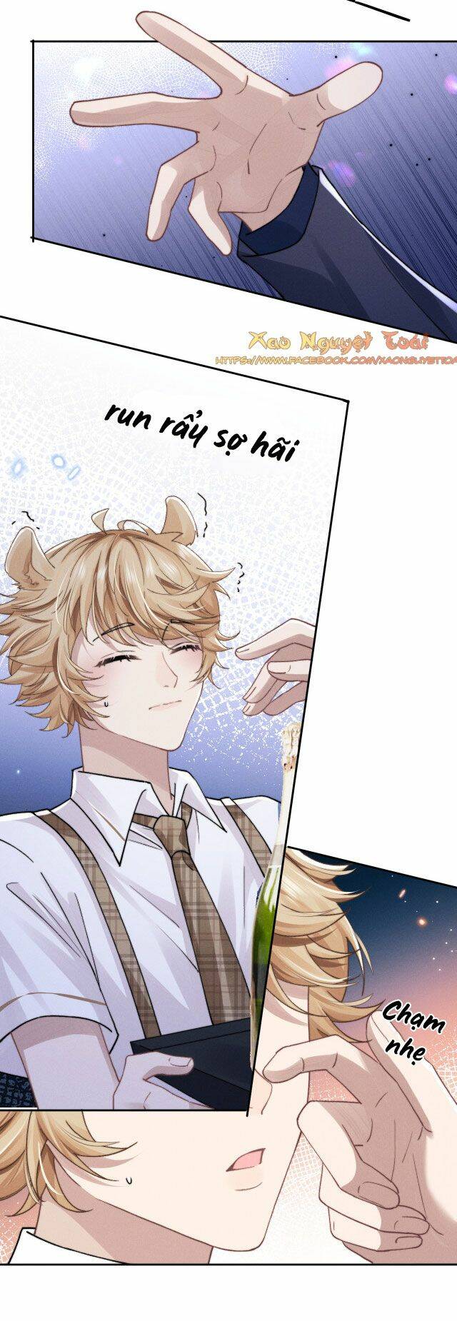 Chấp Sự Thỏ Cụp Tai Chapter 7 - Trang 2